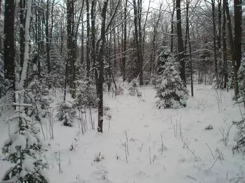 2580 Geline Rd, Eagle River, WI 54521 photo 6