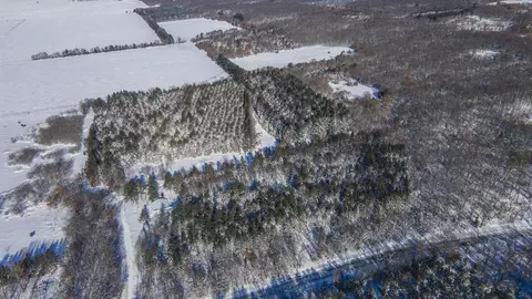 cty rd a, Plainfield, WI 54966