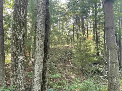 evergreen drive, Wautoma, WI 54982