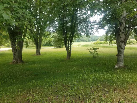 n9326 Pleasant Hill Road, Iola, WI 54945 photo 4