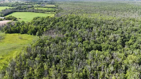 black ash road, Algoma, WI 54201