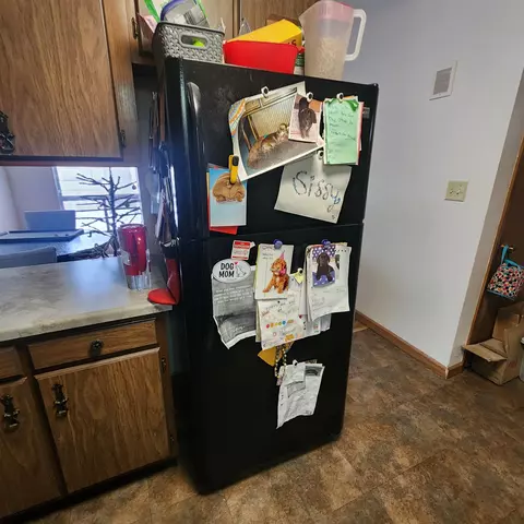 907 E Roeland Ave, Appleton, WI 54915 photo 14