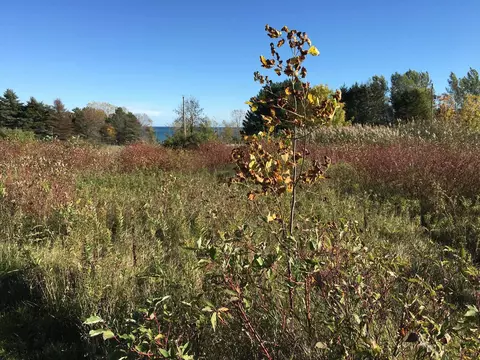 lakeshore road, Kewaunee, WI 54216