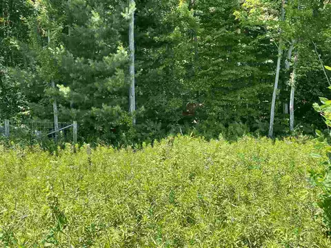 Us Highway 141, Abrams, WI 54101 photo 6