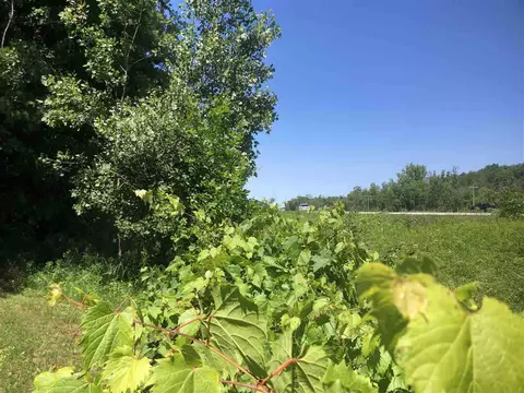 Us Highway 141, Abrams, WI 54101