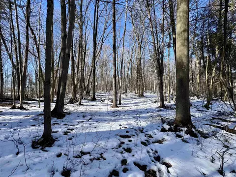 Morrison Road, Greenleaf, WI 54126 photo 34