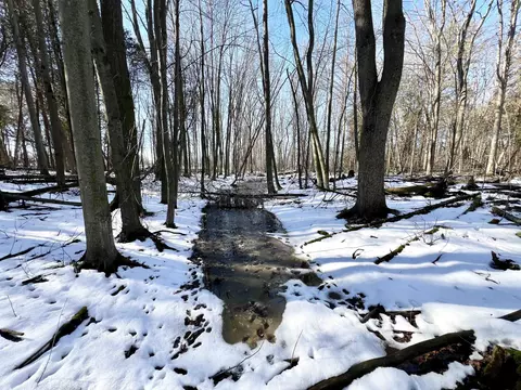 Morrison Road, Greenleaf, WI 54126 photo 31