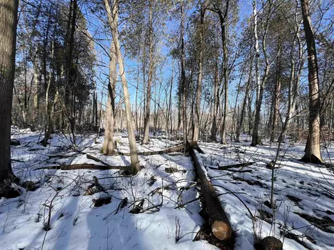 Morrison Road, Greenleaf, WI 54126 photo 35
