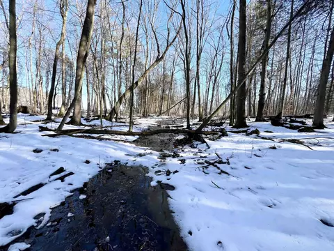 Morrison Road, Greenleaf, WI 54126 photo 30