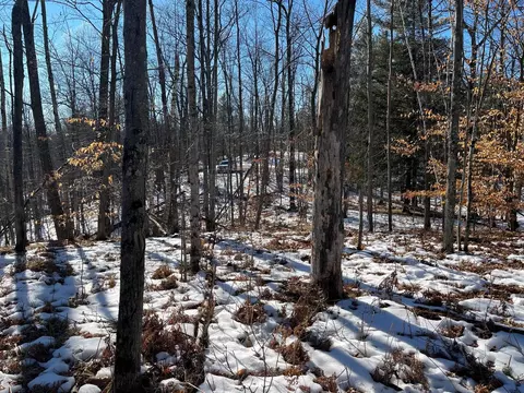 Loretta Lane, Mountain, WI 54149