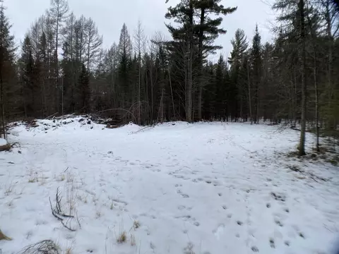 West Shore Road, Phelps, WI 54554