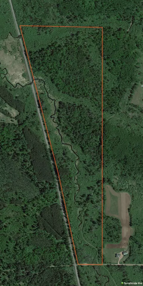Tamarack Lane, Irma, WI 54442