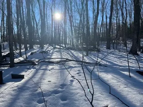 116 S Shore Dr, Pickerel, WI 54465