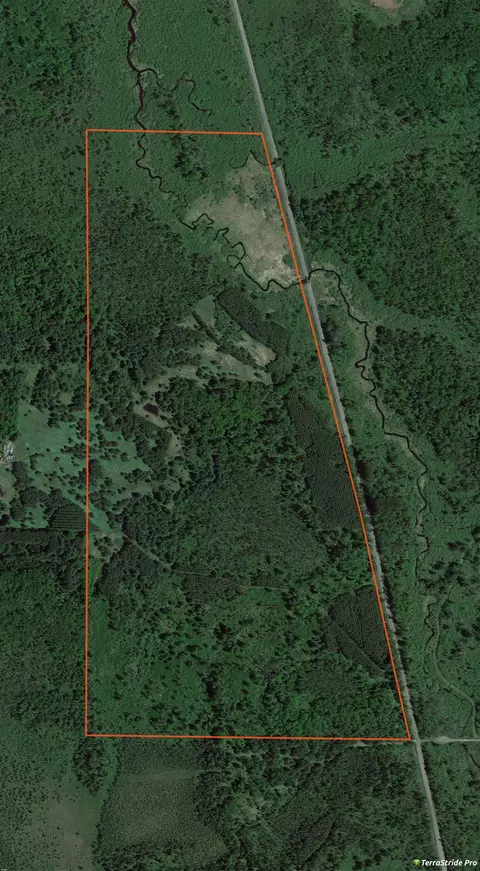 Tamarack Lane, Irma, WI 54442