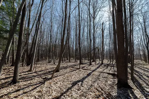 Pine View Drive, Pulaski, WI 54162 photo 2