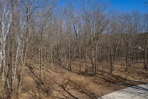 Pine View Drive, Pulaski, WI 54162 photo 10