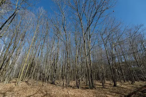 Pine View Drive, Pulaski, WI 54162