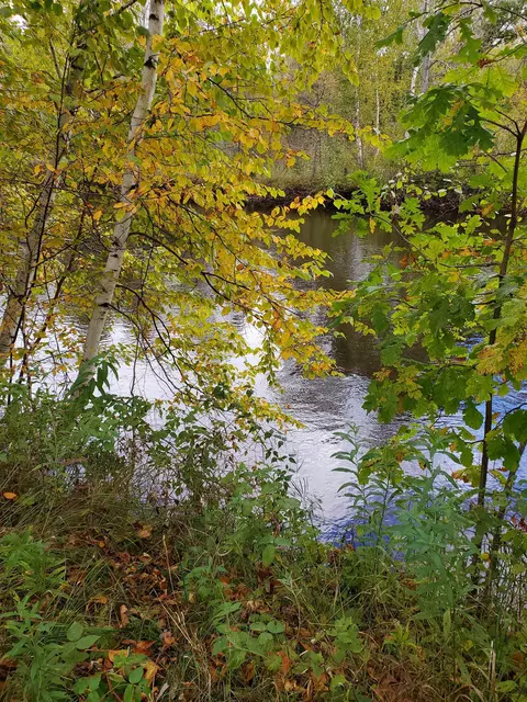 pheasant drive, Crivitz, WI 54114 photo 2