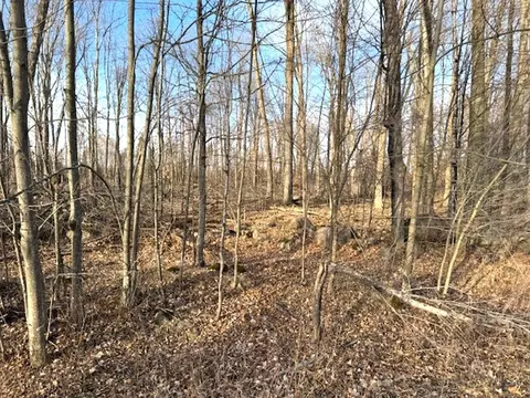 thorn apple drive, Wittenberg, WI 54499