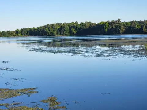 View/Area - 221 Lake Dr, Gresham, WI 54128 photo 2 of 15