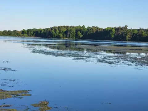 View/Area - 221 Lake Dr, Gresham, WI 54128 photo 10 of 15
