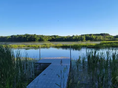View/Area - 221 Lake Dr, Gresham, WI 54128 photo 1 of 15