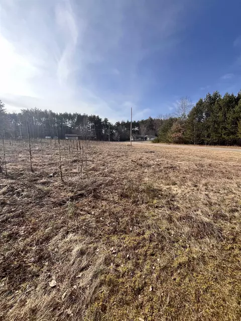Wilson Drive, Waupaca, WI 54981