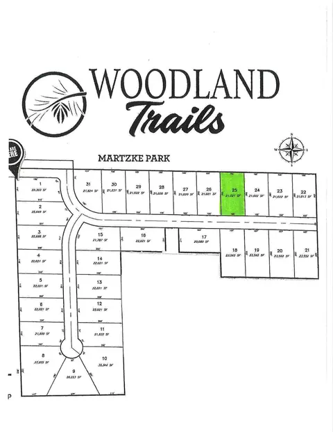thomas avenue, Shawano, WI 54166