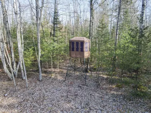 8461 Alder Ln, Suring, WI 54174 photo 12