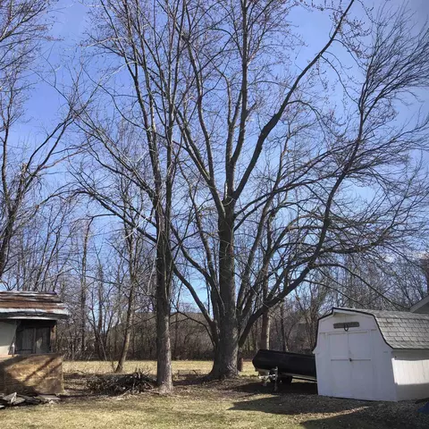 924 Berlin Rd, Ripon, WI 54971 photo 20