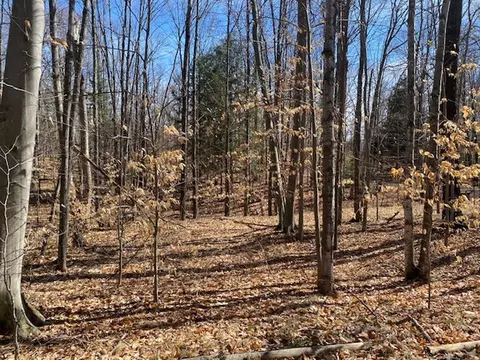 tower lane, Mountain, WI 54149