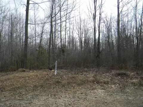 menominee woods drive, Wausaukee, WI 54177