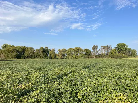 Bridge Street, Manawa, WI 54949