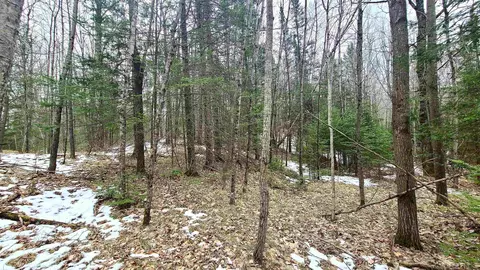 Cty Hwy T, Summit Lake, WI 54485