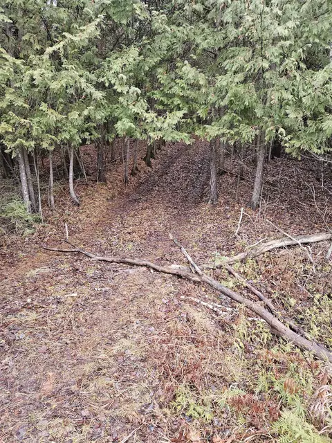 County Road 374, Carney, MI 49812