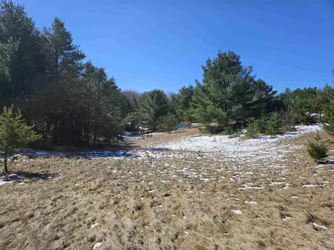 6986 N Netzel Ln, Crivitz, WI 54114 photo 7