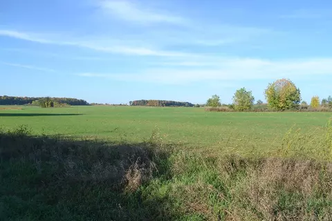 Morrison Road, Greenleaf, WI 54126 photo 4