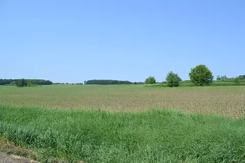 Morrison Road, Greenleaf, WI 54126 photo 5