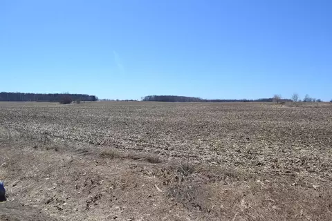 Morrison Road, Greenleaf, WI 54126 photo 8