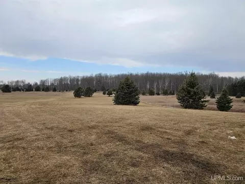 W6738 Turner Road, Channing, MI 49815