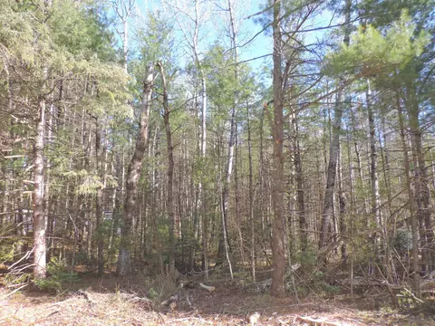 16990 Landing Ln, White Lake, WI 54491