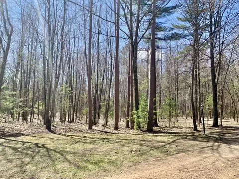 5882 Rustling Pine Ct, Abrams, WI 54101 photo 16
