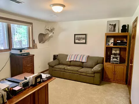 5882 Rustling Pine Ct, Abrams, WI 54101 photo 49