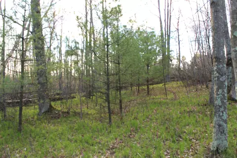 stroika lane, Crivitz, WI 54114