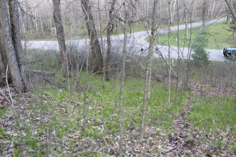 stroika lane, Crivitz, WI 54114 photo 2