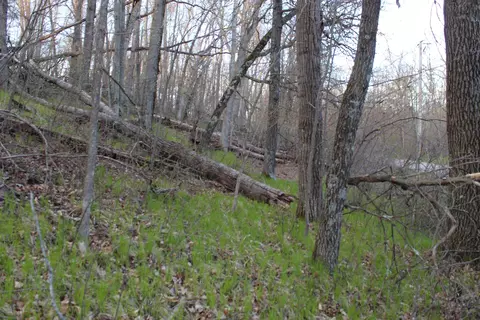 stroika lane, Crivitz, WI 54114 photo 6