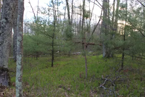 stroika lane, Crivitz, WI 54114 photo 3
