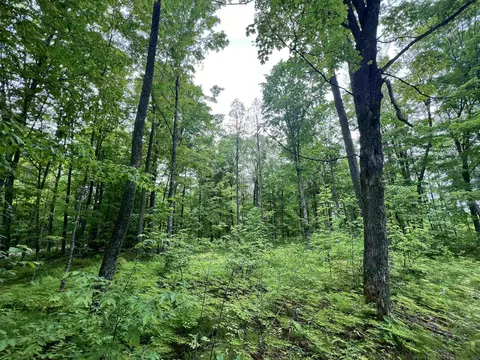 N13068 Limberg Lane #3, Silver Cliff, WI 54104