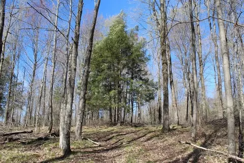 3121 Bradley Lake Rd, Crandon, WI 54520