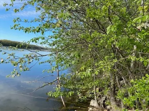 river forest drive, Kaukauna, WI 54130